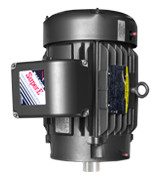 MVB-T Motors for Vertical Water Pumps